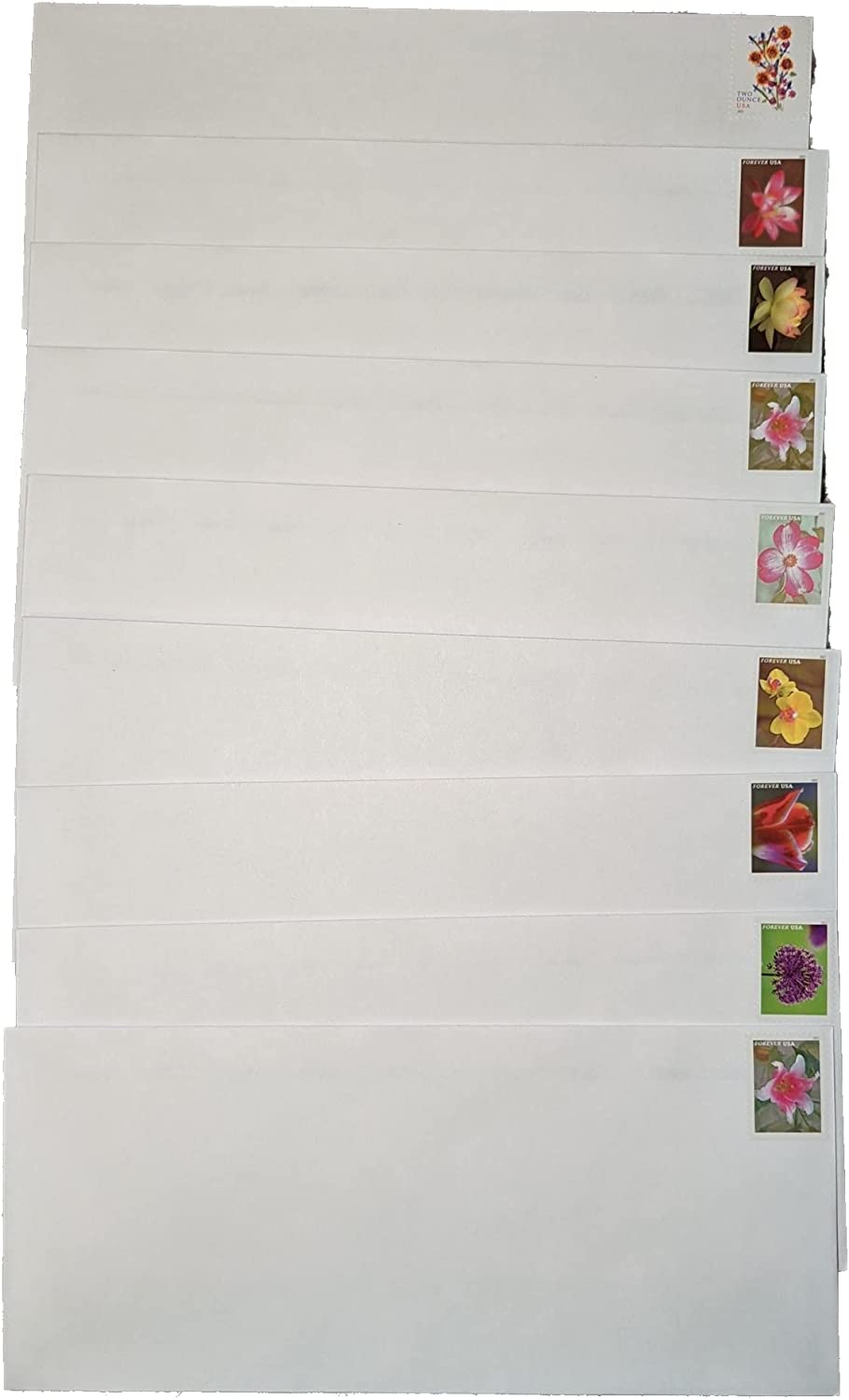 100 USPS Forever Postage Stamps, Roll of 100 Postage Stamps, Stamp Design  May Vary : : Office Products